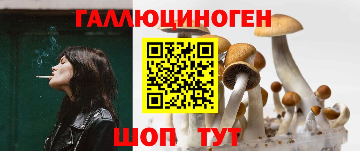 Прохладный  Галлюциногенные грибы мицелий  Вход с VPN 